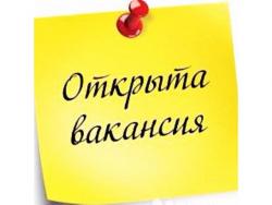 Требуется директор интернет магазина