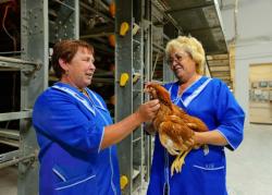 Вахта НИЖНИЙ НОВГОРОД Разнорабочие