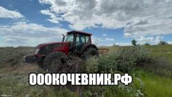 Вырубка, выкорчёвка, переработка в щепу деревьев и корней