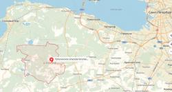 Продажа оптом 61 гектар ДНП у дер. Лопухинка