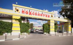 Аренда торгового помещения 1787 кв.м. в ТЦ  «Подсолнухи».