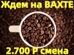 Вахта Упаковщики Кофе Без Опыта с Бесплатным Проживанием Владимирская область Струнино