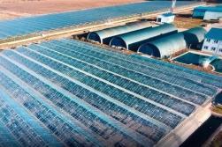 Теплицы в Аренду Теплицы в Аренду