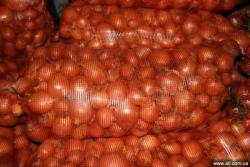 ЛУК оптом за 10 руб! Отличное качество!