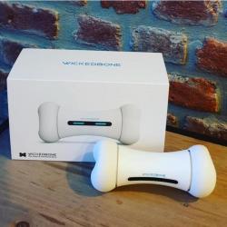 Умная косточка для питомца