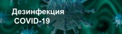 Уничтoжение тараканов, клопов, грызунов, насекомых