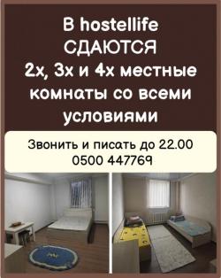 В hostellife сдаются 2х, 3х и 4х местные комнаты со всеми условиями.