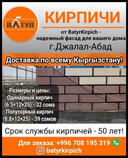 Кирпичи от BatyrKirpich - надежный фасад для вашего дома!