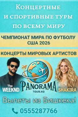 Концертные и спортивные туры по всему миру! Вылеты из Бишкека