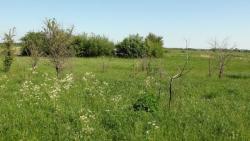 пос. Линейное (п. Южный - 1), Багратионовский район, 12 соток, ЛПХ, свет, газ, 12км до Калининграда