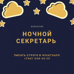 Ночной секретарь