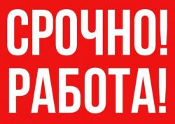 Сотрудники в компанию