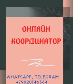 Куратор в телефоне на дому Куратор в телефоне на дому
