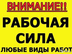 Разнорабочие, Демонтаж, Грузчики