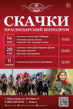 Скачки на Краснодарском ипподроме
