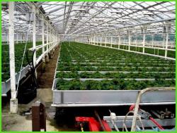 Теплицы б/у Антрацит Теплицы б/у Антрацит