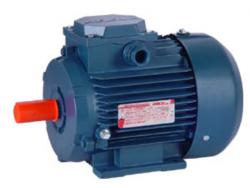 Электродвигатель новые