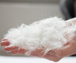 Пухо-перьевые смеси Пухо-перьевые смеси