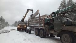 услуги лесовоза с манипулятором