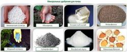 Покупаем минеральные удобрения на постоянной основе