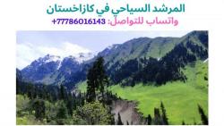 مترجم و مرشد في مدينة الماتي، جواله:  77786016143
