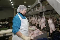 Работа Вахта Разнорабочие Белгород Работа Вахта Разнорабочие Белгород