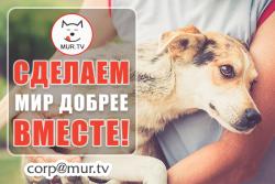 Оказываем информационую поддержку