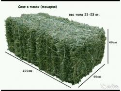 Продам люцерну в тюках Продам люцерну в тюках