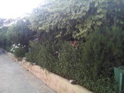 Сдаются комнаты на берегу моря