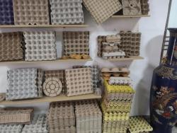 Линия по производству упаковки для яиц Линия по производству упаковки для яиц