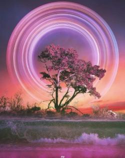 Семинар: социальные предприниматели помогают людям