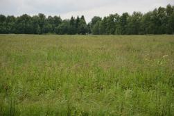 Участок для ИЖС 34,42га 25км от МКАД Новорязанское ш, коммуникации