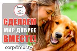 Партнер информационный