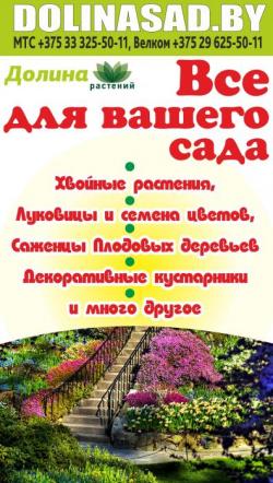 Купить садовые растения. Розы, Туи, Плодовые.