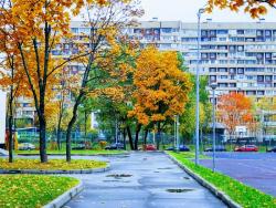 Помощь в сдаче жилья