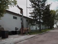 Инкубатор в Советском районе Крыма