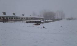 Кошара в Сакском районе Крыма