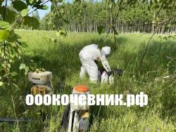 Услуги и аренда мульчера