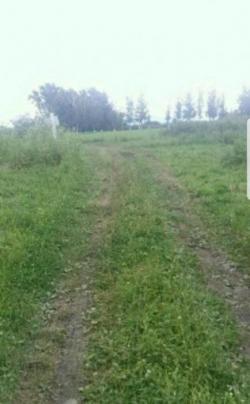 земельный участок в товариществе Хурзарин