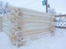 Срубы сосновые от эконом до элит класса Срубы сосновые от эконом до элит класса