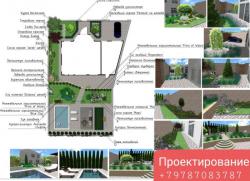 Консультации ландшафтного дизайнера