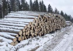 Круглый лес на строительство срубов с доставкой