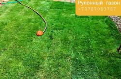 Рулонный газон укладка в Севастополе