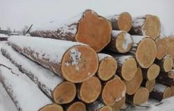 Деловой лес кругляк хвойный самовывоз или доставка
