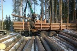 Строевой лес на сруб с погрузкой