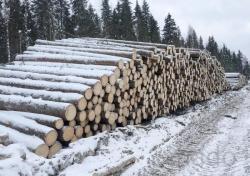 Круглый лес на строительство срубов
