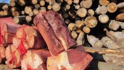 Ольховые дрова в сетке