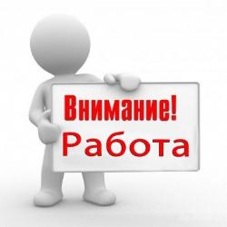 Есть диплом, нет работы обращайся!