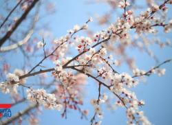 Работёнка для тeбя