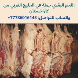 مؤسسة اللحوم من كازاخستان تبحث عن مشتريي الجملة في الخليج العربي
